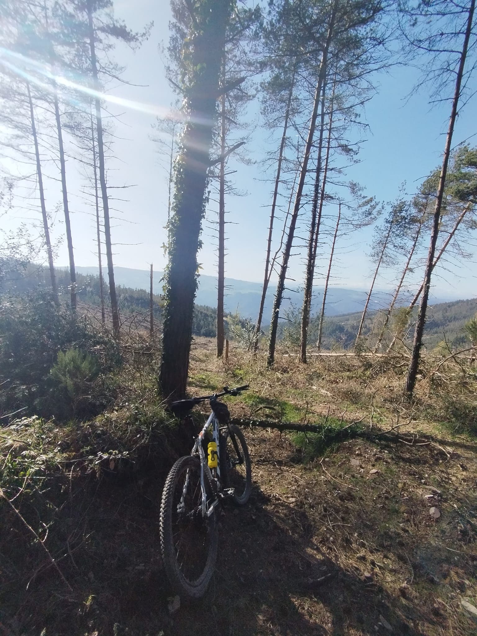 Discover A Fonsagrada through its trails