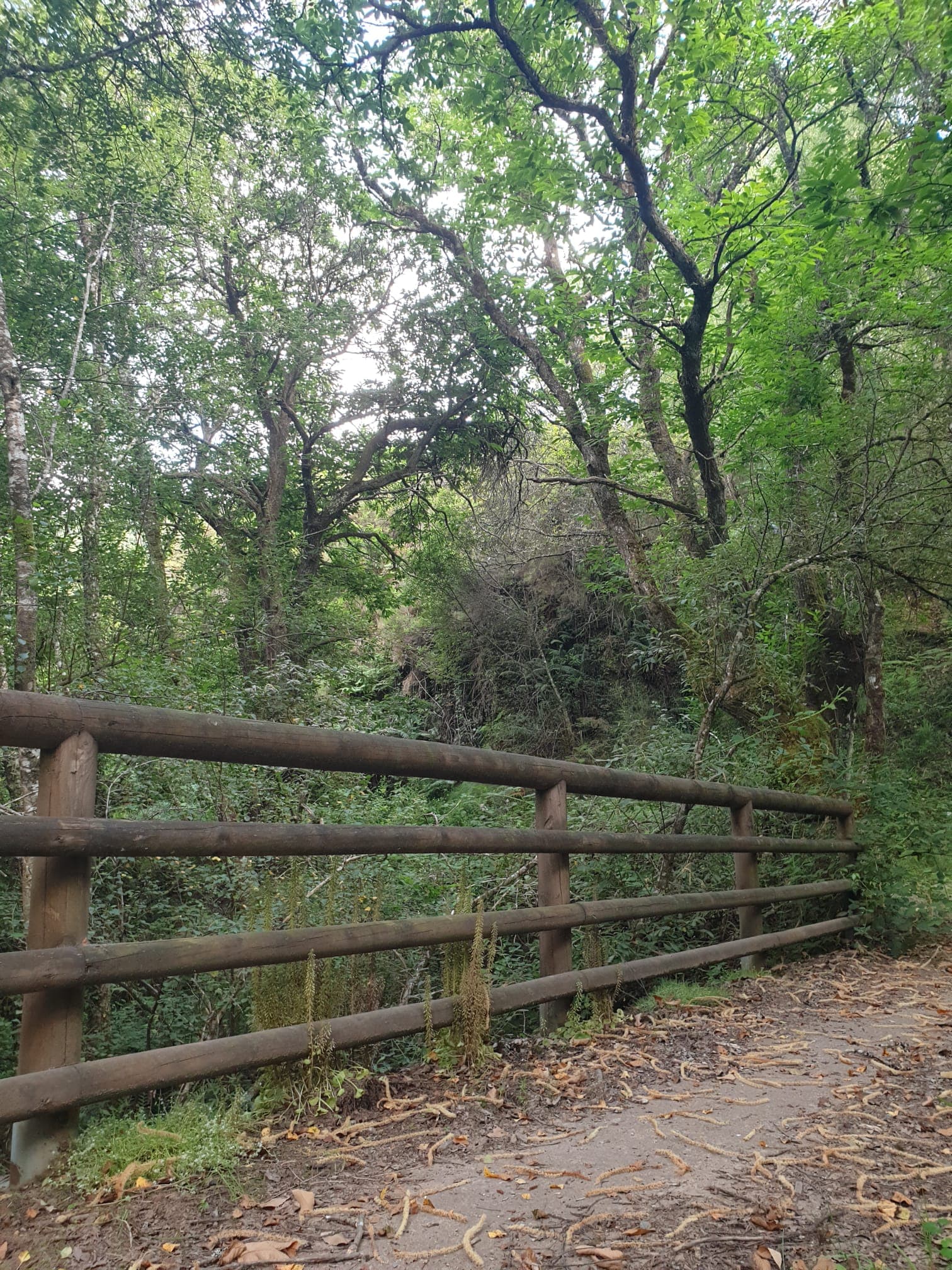 Galician nature all around you